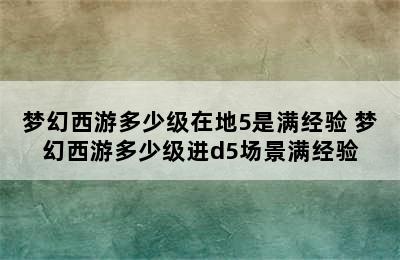 梦幻西游多少级在地5是满经验 梦幻西游多少级进d5场景满经验